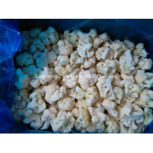 New Crop Frozen IQF Cauliflower